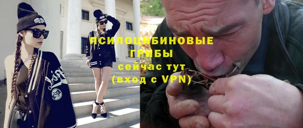 гашик Зерноград