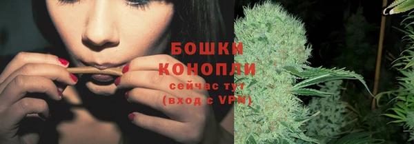 гашик Зерноград