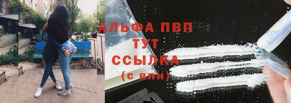 гашик Зерноград