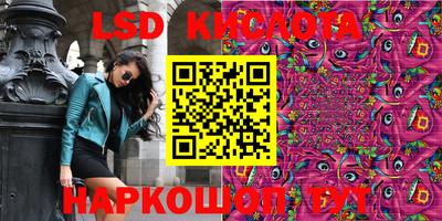 крисы Абакан