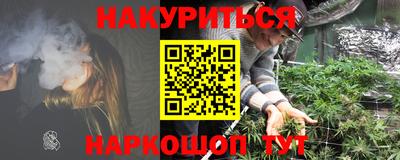 крисы Абакан