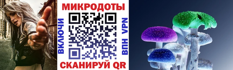 блэк спрут ONION наркотики Сочи Псилоцибиновые грибы мицелий