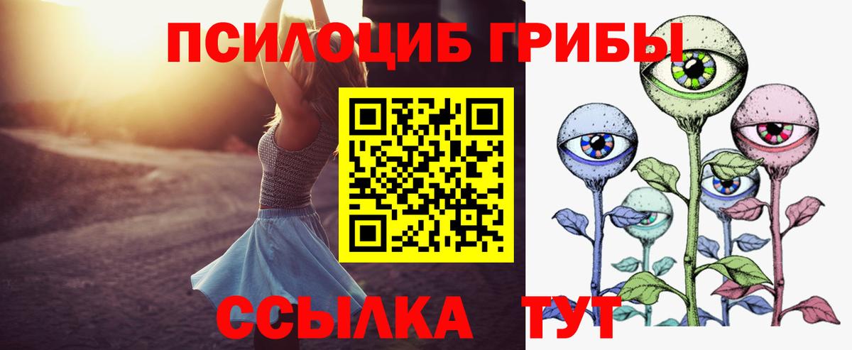 Галлюциногенные грибы Psilocybe Сочи